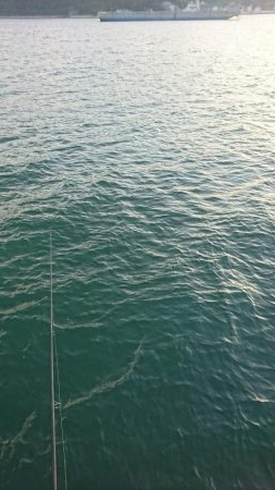 スーパーナブラを求めて・・・