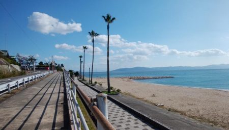 投げ「引き釣り」