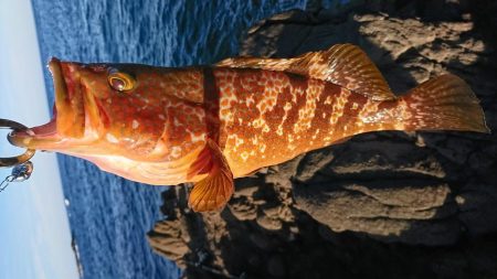 初ロックフィッシュでビギナーズラック！