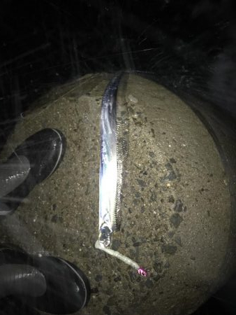 シーズン終盤か