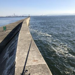 武庫川一文字でハマチ