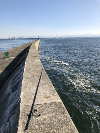 武庫川一文字でハマチ