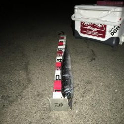 とりあえず…暴風銀様