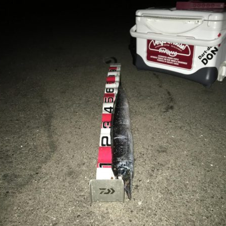 とりあえず…暴風銀様