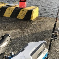 ボイルの中、やっと1匹