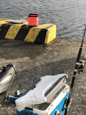 ボイルの中、やっと1匹