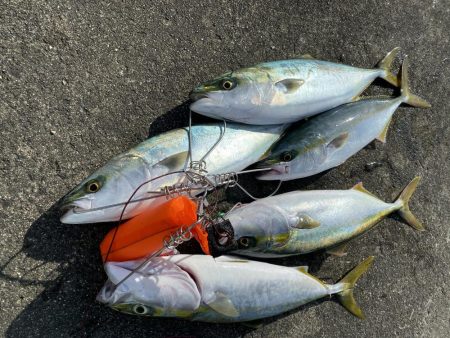 まずまずな釣果