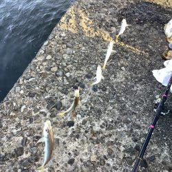 当たりは夜明けから