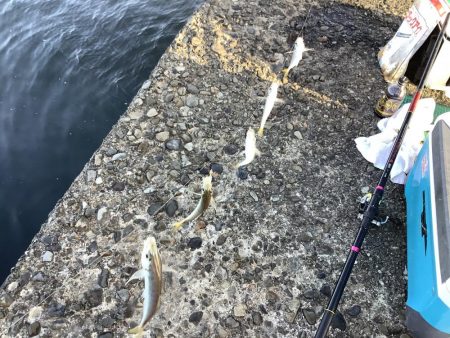 当たりは夜明けから