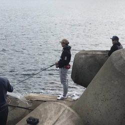 初ヒラマサ求めて？