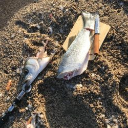 荒れ気味サーフ