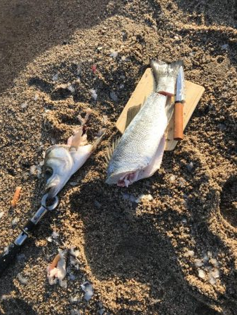 荒れ気味サーフ