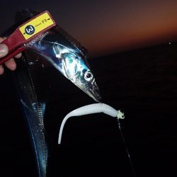 最初のバラシが…