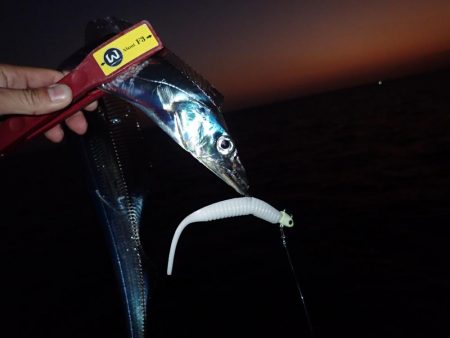 最初のバラシが…