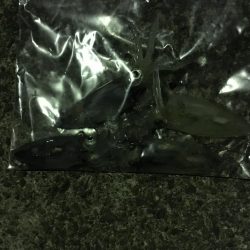 夕まずめのヒイカエギング