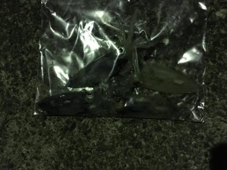 夕まずめのヒイカエギング