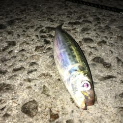 ライトゲームでいろいろ