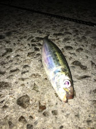 ライトゲームでいろいろ