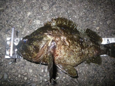 マイベスト更新