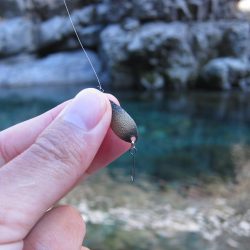 晩秋の天川管理釣り場は、13時以降がオススメ