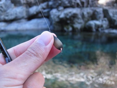 晩秋の天川管理釣り場は、13時以降がオススメ