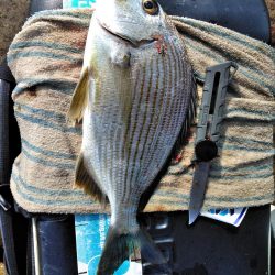 フカセが一番・・面白いです・・