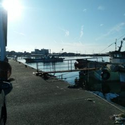 先週に引き続き