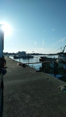 先週に引き続き