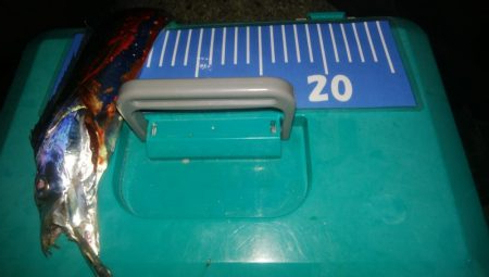 ワインドとアジング