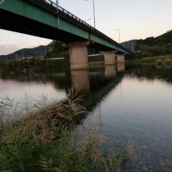 落鮎シーズンのシーバス求めて