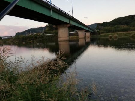 落鮎シーズンのシーバス求めて