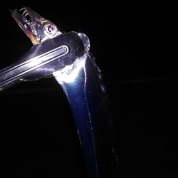 久しぶりにタチウオ探して