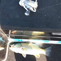 スピニングタックル