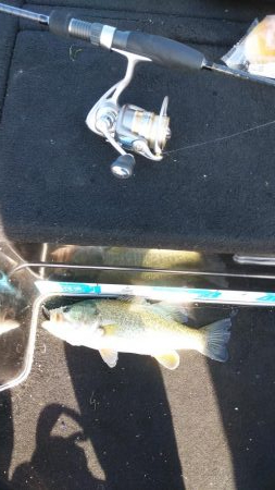 スピニングタックル