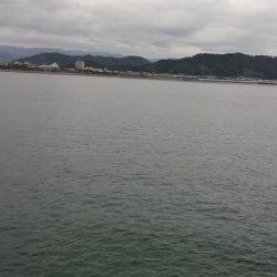 ライトショアジギング