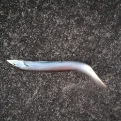 やっと連敗から脱出できました。