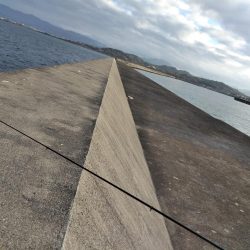 フカセが一番・・面白いです・・