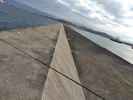 フカセが一番・・面白いです・・