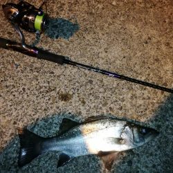 サイズはそれほど