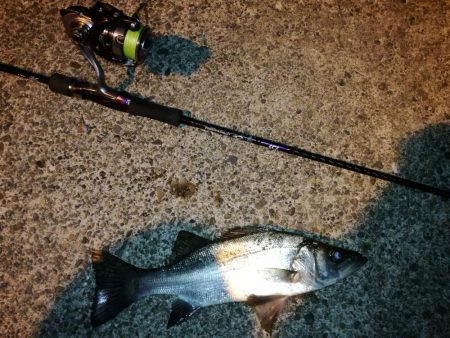 サイズはそれほど