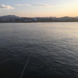 ハモ70㎝1匹、アジ10匹