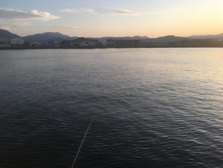 ハモ70㎝1匹、アジ10匹