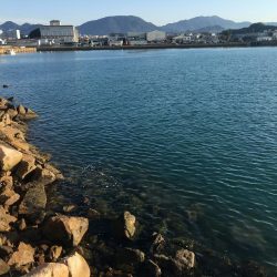 尺アジ、ヘダイ