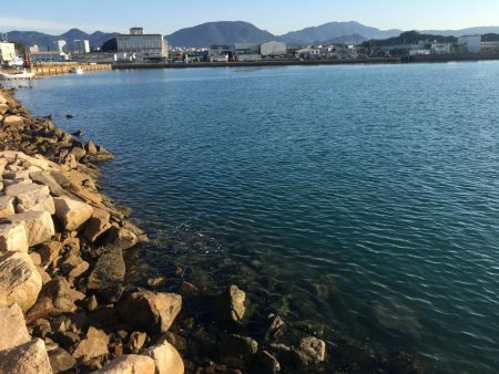 尺アジ、ヘダイ