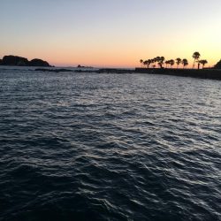 グレ27㎝、オキフエダイ25㎝、サンバソウ2匹