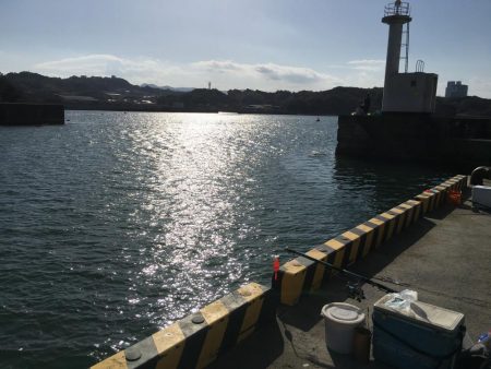 真鯛28㎝、ヘダイ23㎝×6匹ほか