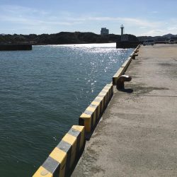 中型アジ2匹、コアジ22匹、ヘダイ、ヒイラギ4匹