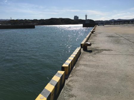 中型アジ2匹、コアジ22匹、ヘダイ、ヒイラギ4匹