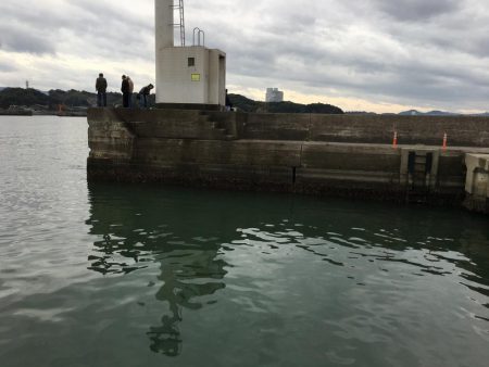 コアジ71匹、ヒイラギ30匹