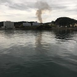 コアジ93匹、中アジ（25㎝）1匹、ガシラ1匹